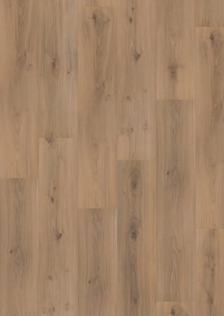 HOOMLINE ROYAL XL V2 AQUAPROTECT 4936 JUNGFRAU