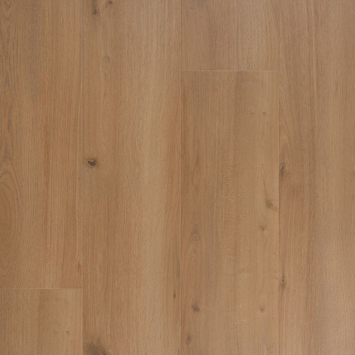 Douwes Dekker Krachtig Solide Brede Plank Mosterd