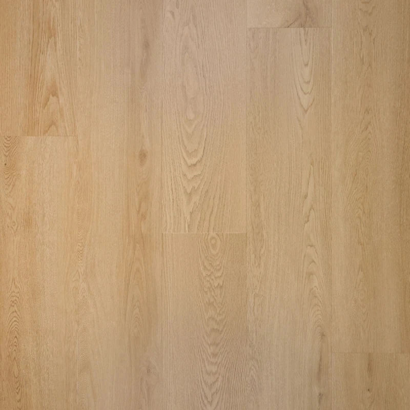 Douwes Dekker Plak PVC Nieuwe Oogst Rechte Plank - Druif