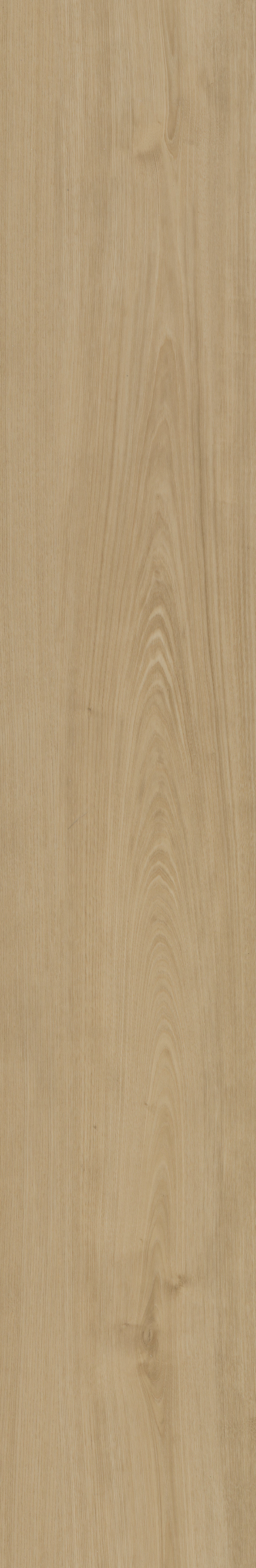 Belakos Portico 560 | Rigid Click