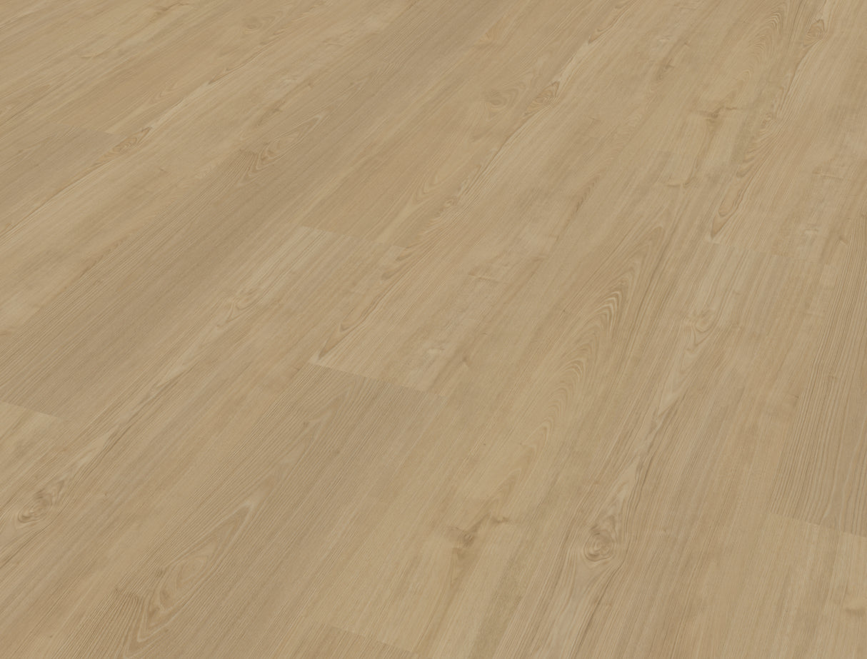 Belakos Portico 560 | Rigid Click