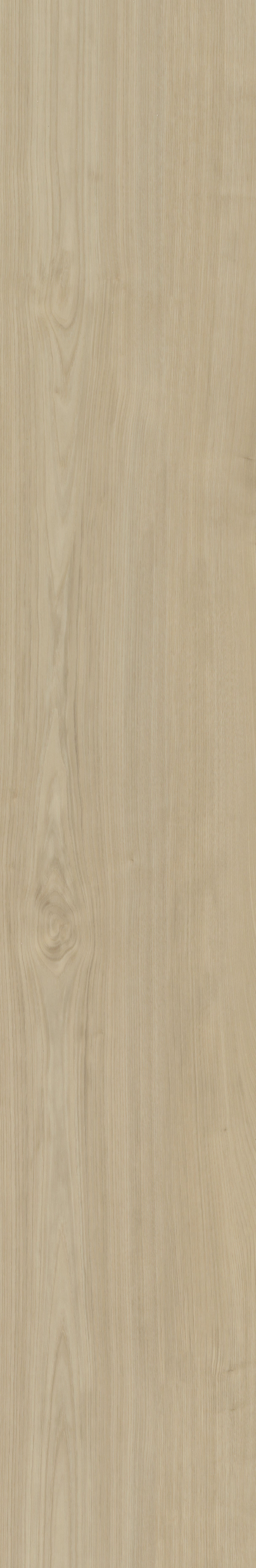 Belakos Portico 570 | Rigid Click