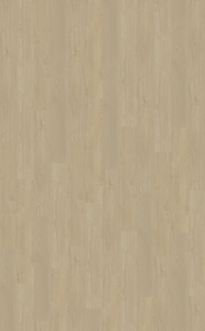 Belakos Portico 570 | Rigid Click