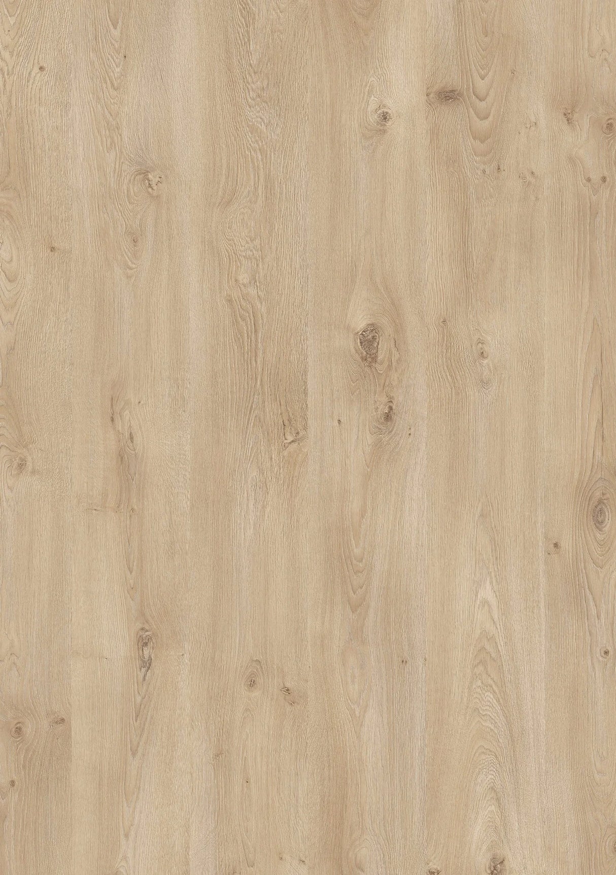 Hoomline Laminaat Royal XL V2 Rechte plank - Tafelberg