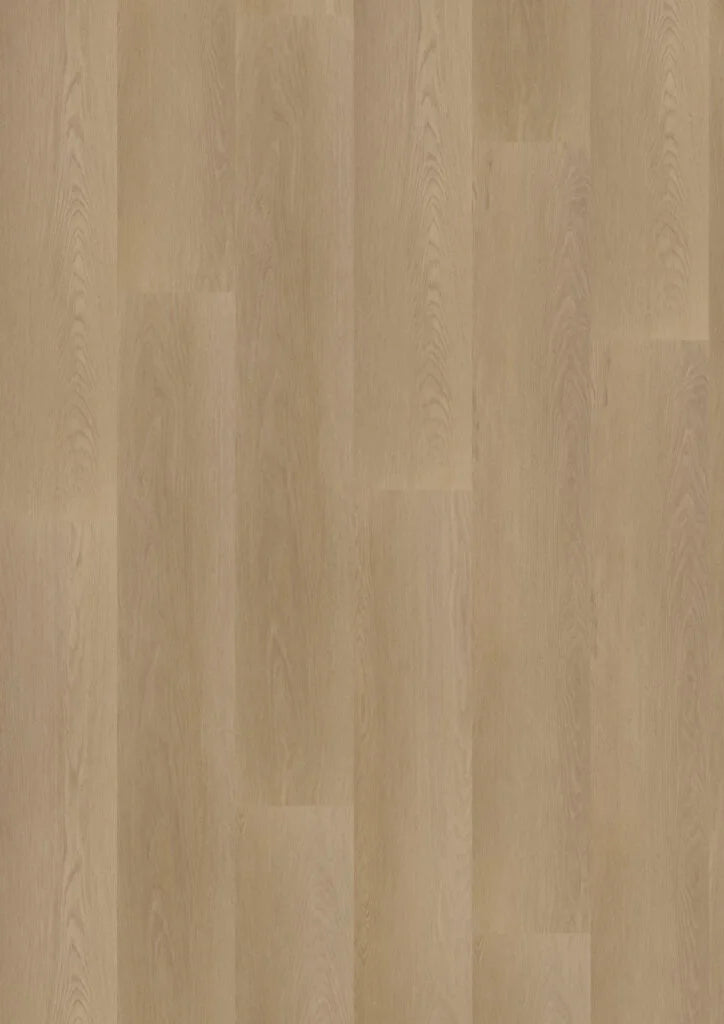 Hoomline Ambassador Dryback Georgia 6