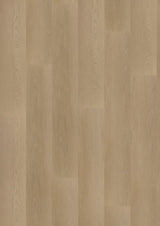 Hoomline Ambassador Dryback Georgia 6