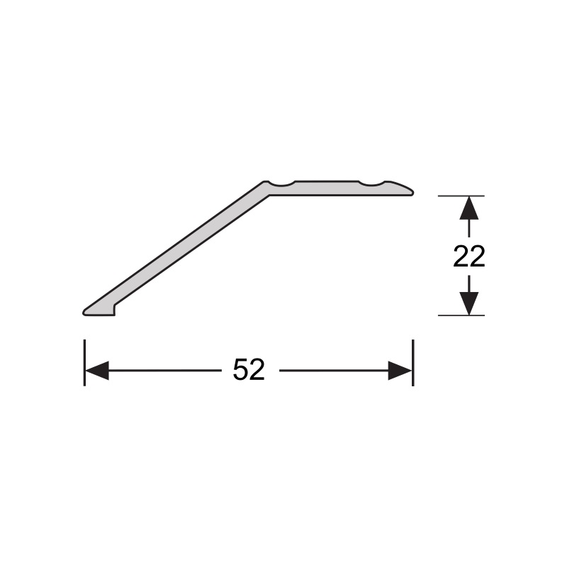 Overgangsprofiel 22 mm 2.7m Aluminium RVS