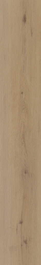Belakos Plak PVC Attico Rechte plank - 800