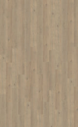 Proefstaal Belakos Attico 860 | Rigid Click