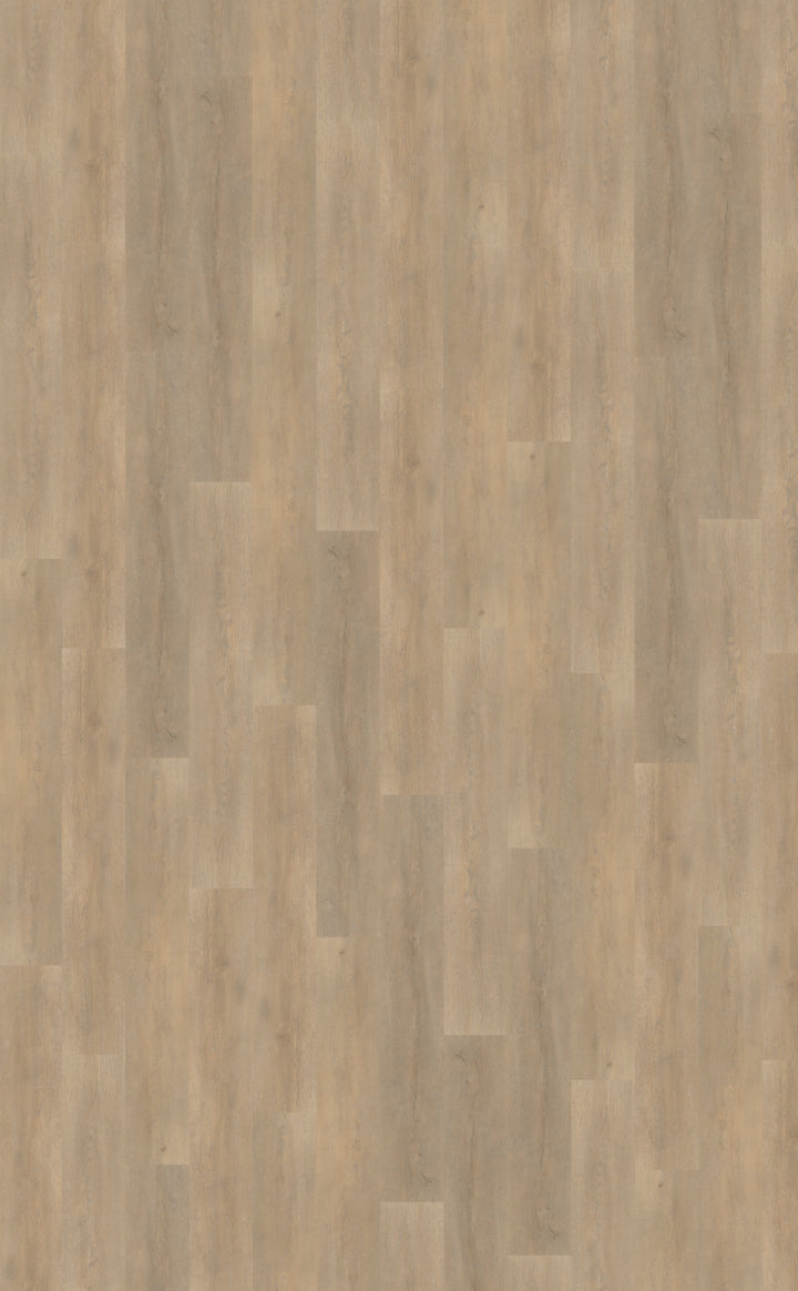 Proefstaal Belakos Palazzo 710 | Rigid Click