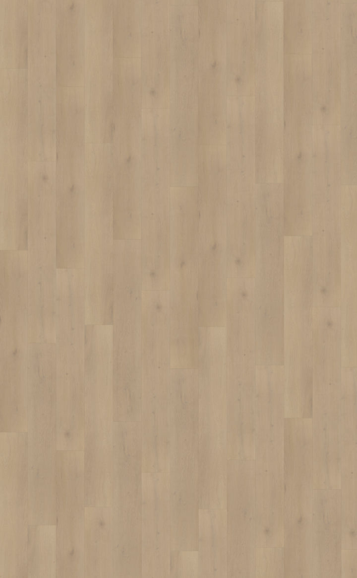 Belakos Klik PVC Palazzo Rechte plank - 770