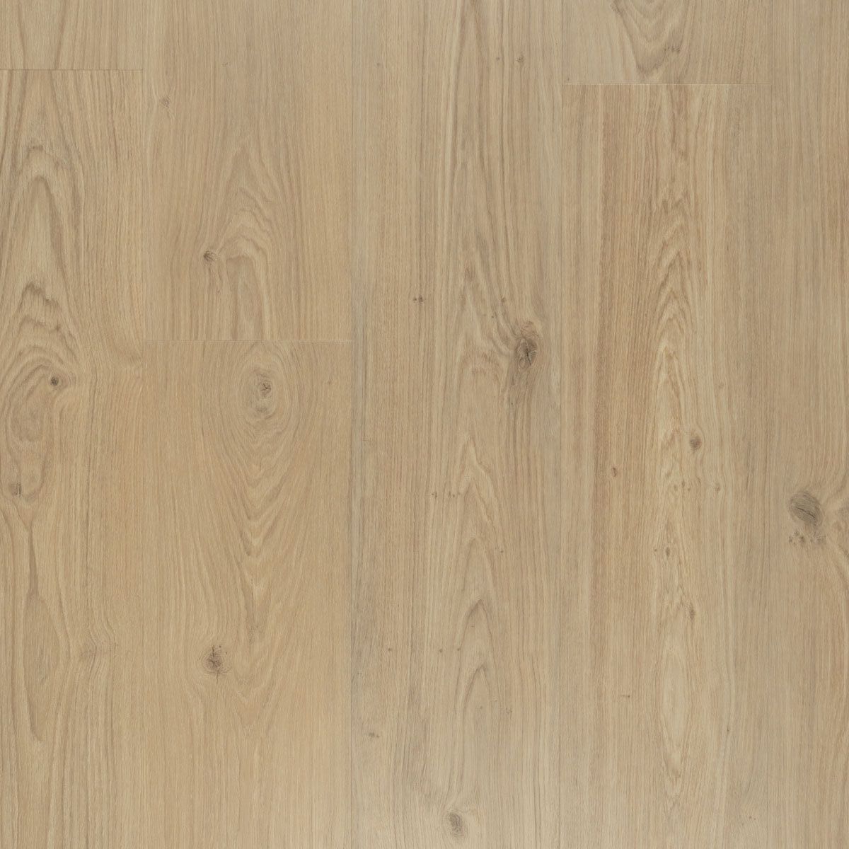 Proefstaal Douwes Dekker Ambitieus Riante Plank Click PVC Panna Cotta