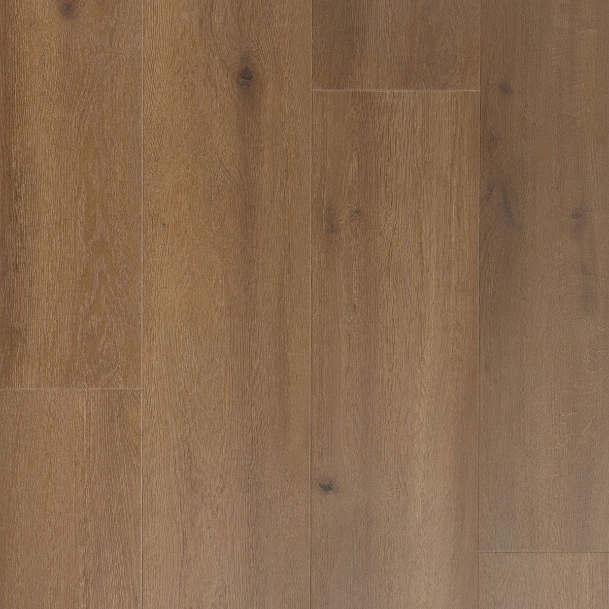 Douwes Dekker Krachtig Solide Brede Plank Oregano