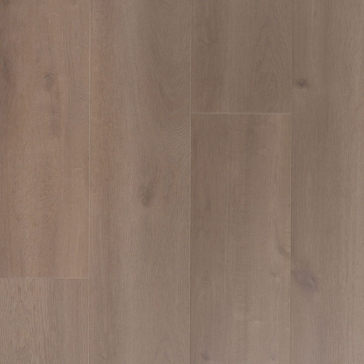 Proefstaal Douwes Dekker Krachtig Solide Brede Plank kruidnagel