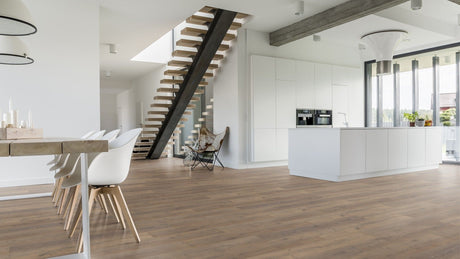 Douwes Dekker Sympathiek Brede Plank Dille