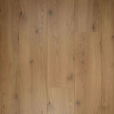 Douwes Dekker Sympathiek Brede Plank Peterselie