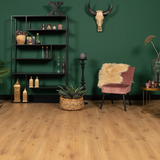 Douwes Dekker Sympathiek Brede Plank Peterselie