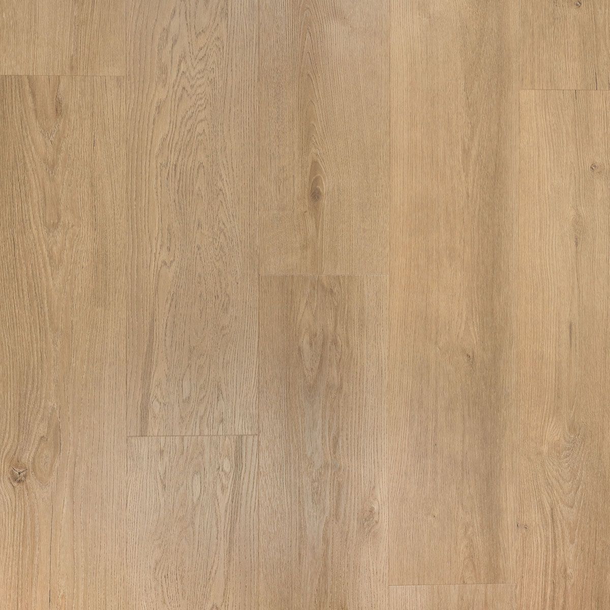 Douwes Dekker Klik PVC Ambitieus Riante Rechte plank - Gemberkoek