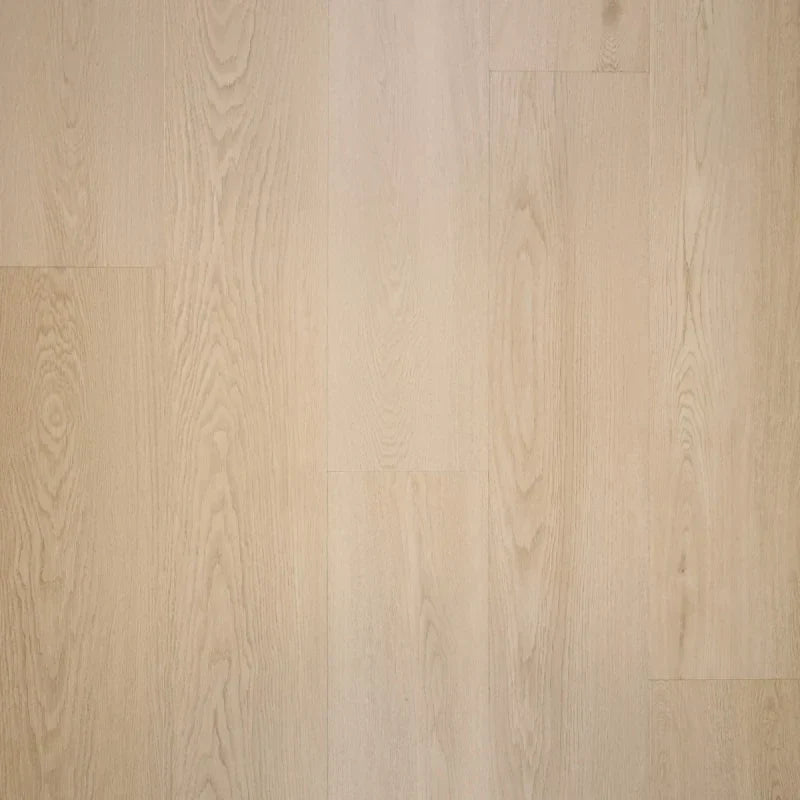 Proefstaal Douwes Dekker Nieuwe Oogst Plank abrikoos