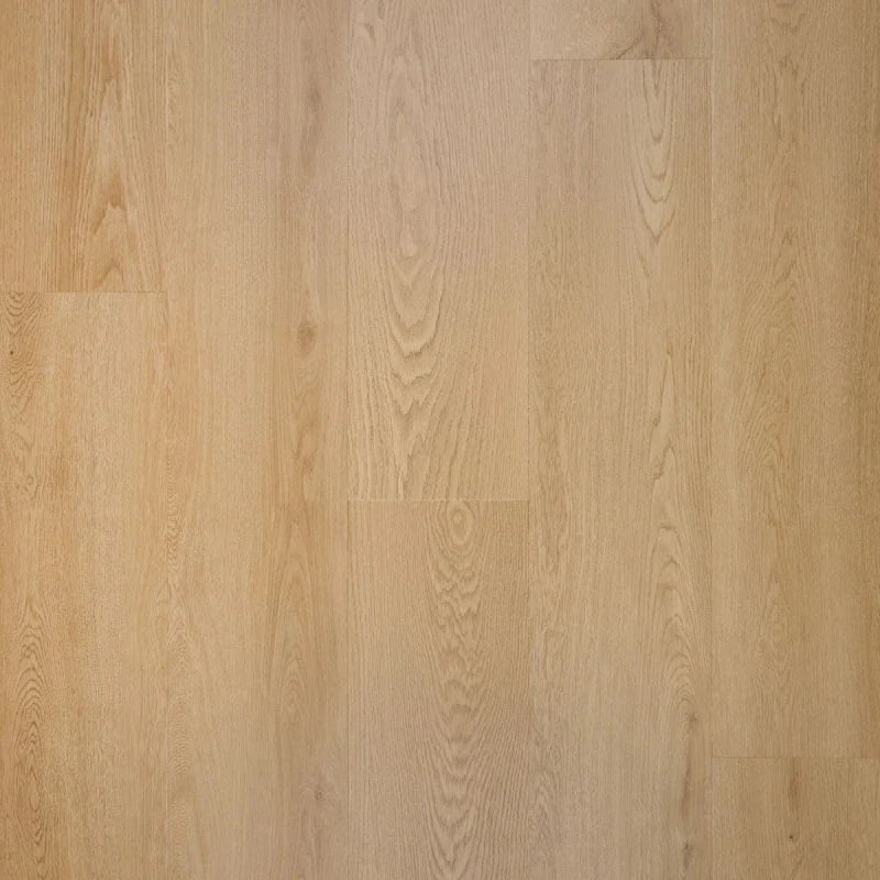 Proefstaal Douwes Dekker Nieuwe Oogst Plank Druif