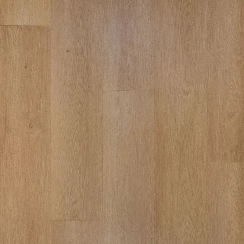 Proefstaal Douwes Dekker Nieuwe Oogst Plank perzik
