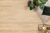 Floer Plak PVC Elegance Dorpen Rechte plank - Clinge Crème Eiken