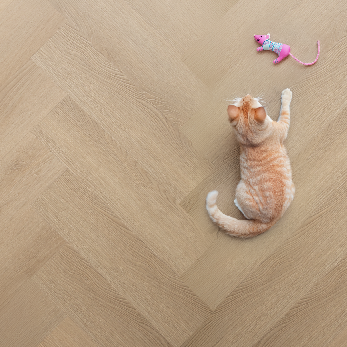 Mira Silva Visgraat Click Naturel Beige Oak