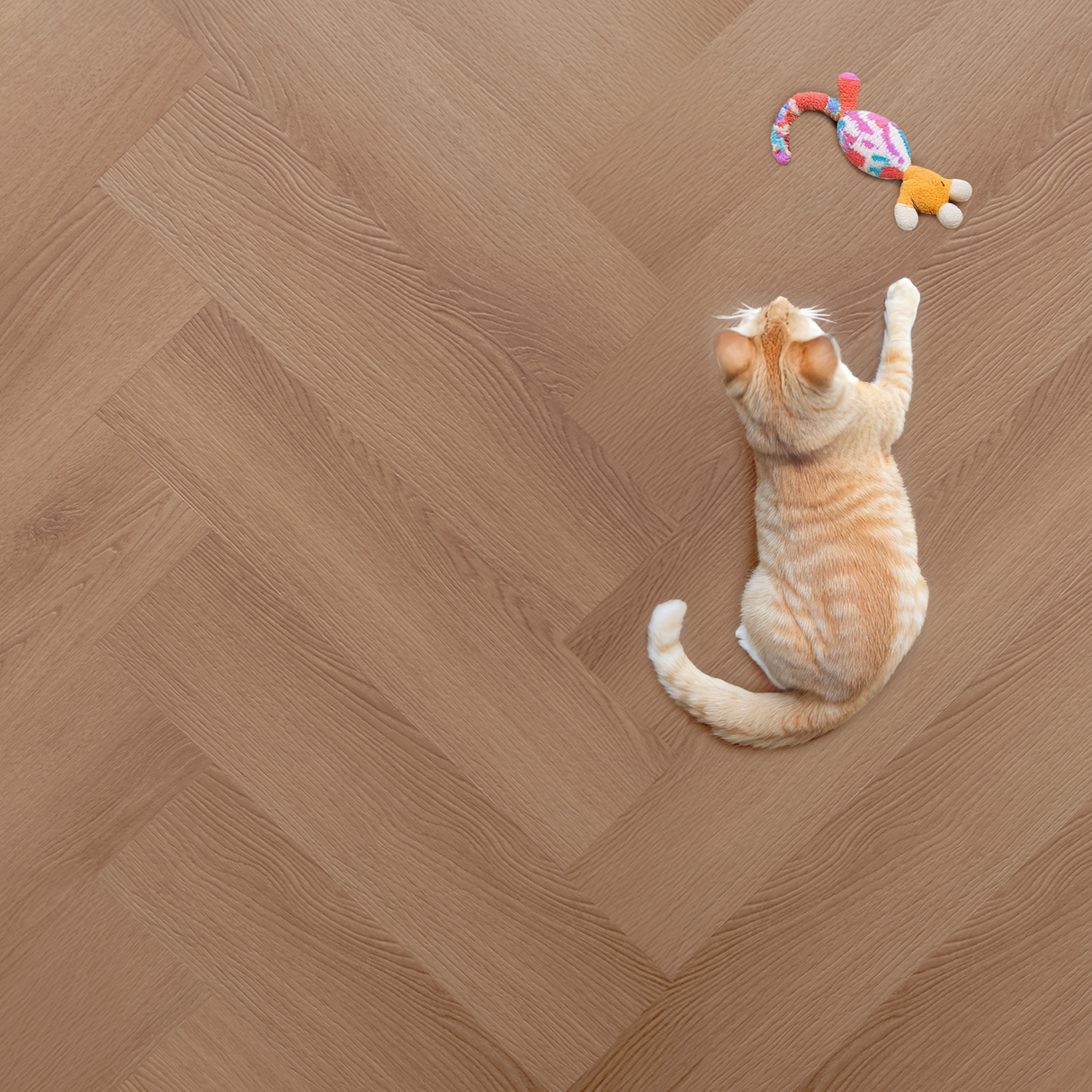 Mira Silva Visgraat Click Brown Oak