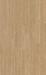 Proefstaal Belakos Monastro 930 | Rigid Click
