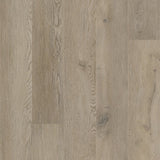 Proefstaal CORETEC XL-End 2553 Egmont