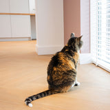 Vivafloors Walvisgraat 7870